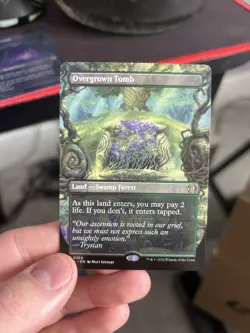 Overgrown Tomb (Borderless) Lorwyn Eclipsed Regular - Image 1