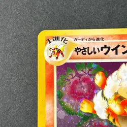 Light Arcanine 059 Neo Destiny 2001 Old Back Holo Rare MP Japanese Pokemon Card - Image 5