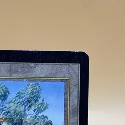 MTG Diamond Valley – Arabian Nights (1993) – Rare Land – Moderately Played - Image 2