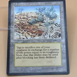 MTG Diamond Valley – Arabian Nights (1993) – Rare Land – Moderately Played - Image 5