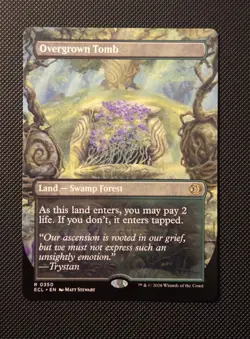 Overgrown Tomb (Borderless) Lorwyn Eclipsed Regular - Image 1
