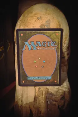 Wasteland - SLD Encyclopedia Countdown Kit. Magic: The Gathering singles - Image 4