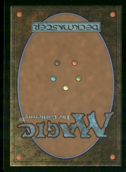 Dynaheir Invoker Adept foil etched CLB - Image 2