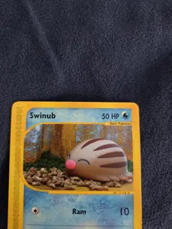 Swinub 107/144 Skyridge 2003 E-Reader Pokemon TCG Rare Vintage LP - Image 2