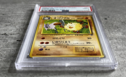 Pokemon Card Japanese Primeape Promo PSA 9 Mint, Southern Island T.I. #57, 1999 - Image 3