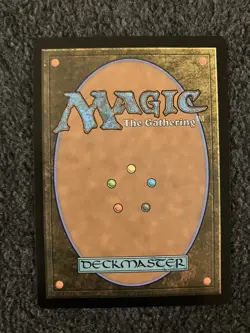 Magic The Gathering MTG - Hallowed Fountain - Lorwyn Eclipsed - Image 2