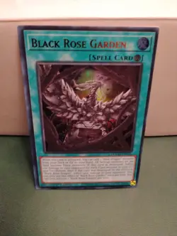 Black Rose Garden DOOD-EN055 YU-GI-OH Ultra Rare 1st Edition NM/MINT - Image 1