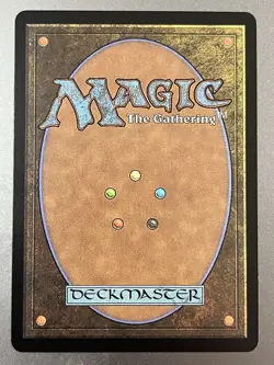 MTG Magic The Gathering Rhysric Study Stay With Me Borderless Foil FFX - Image 2