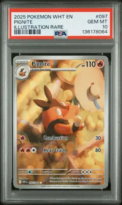 2025 POKEMON WHT EN-WHITE FLARE ILLUSTRATION RARE #097 PIGNITE PSA 10 - Image 1