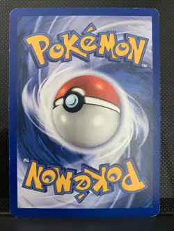 Pidgeotto 28/130 Base Set 2 Unlimited Rare Vintage WOTC Pokemon TCG Sugimori - Image 3