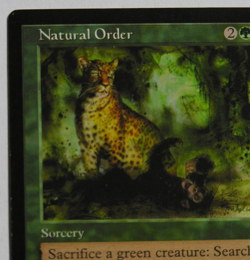 Natural Order - Visions - MTG Magic the Gathering *NM* - Image 2