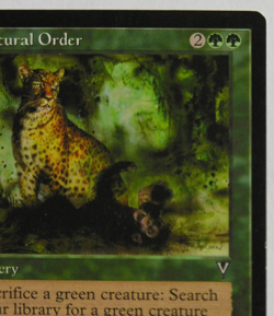 Natural Order - Visions - MTG Magic the Gathering *NM* - Image 3