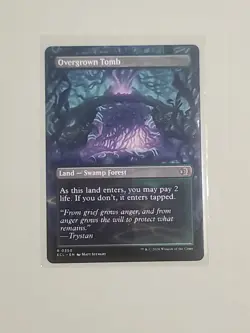 Overgrown Tomb (Borderless) Lorwyn Eclipsed Regular - Image 3