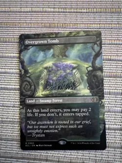 WOTC Lorwyn Eclipsed Overgrown Tomb (Borderless) (R) NM - Image 1
