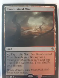 Bloodstained Mire | NM | Khans of Tarkir | KTK | Magic MTG - Image 3