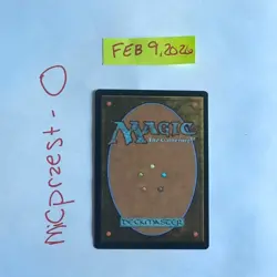 Magic the Gathering: Risen Reef [Extended Art] Near Mint - Image 2