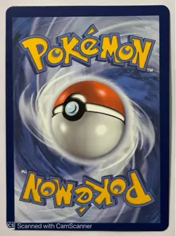 Infernape V SWSH252 SWSH: Sword & Shield Promo Cards Holo - Image 2