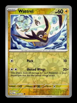 Pokemon 2023 Paldea Evolved Wattrel 080/193 NM/MT Reverse Foil *Fresh Pull* - Image 1