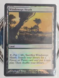 Windswept Heath (9/10) Judge Gift Cards 2009 NM Small Seller ✉ Fast Free Ship! - Image 1