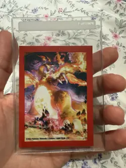 Charizard VMAX 261 Charizard UPC Promo SWSH Black Star Pokemon - Image 2
