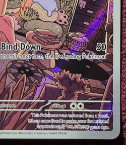Lileep 145/142 SV07: Stellar Crown Illustration Rare Holo Pokemon TCG NM - Image 4