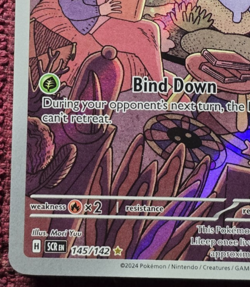 Lileep 145/142 SV07: Stellar Crown Illustration Rare Holo Pokemon TCG NM - Image 5