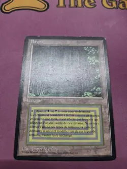 Bayou - FBB Revised- [LP] * FRENCH * - Image 1