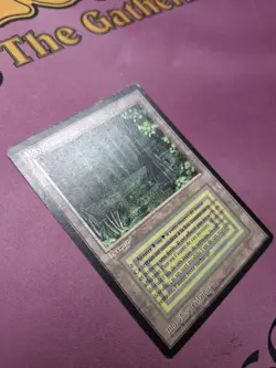 Bayou - FBB Revised- [LP] * FRENCH * - Image 3