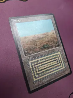 MTG Magic the Gathering Scrubland Italian Foreign Black Border FBB - Image 2