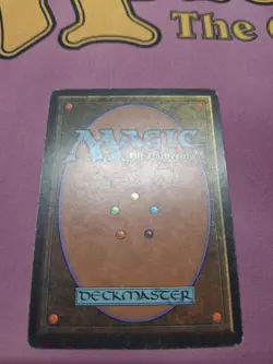 MTG Magic the Gathering Scrubland Italian Foreign Black Border FBB - Image 4