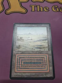 Badlands - FBB Revised - ITALIAN [LP] MTG - Image 2