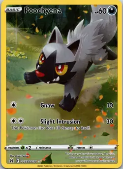 Poochyena GG33/GG70 Crown Zenith Galarian Gallery Full Art Holo Pokemon Card - Image 1