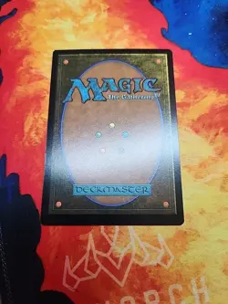 Plains (1945) (Rainbow Foil) - Secret Lair Drop Series (SLD) - NM - Image 2