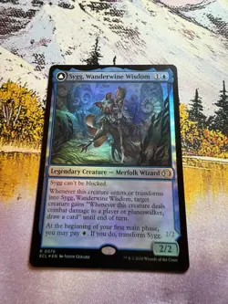 Sygg, Wanderwine Wisdom // Sygg, Wanderbrine Shield - Foil Lorwyn Eclipsed MTG - Image 2