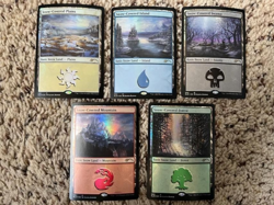 MTG- Secret Lair Eldraine Wonderland FOIL - Snow-Covered Lands - Image 1