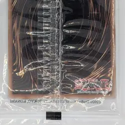 Yugioh Red-Eyes Black Dragon Nike Worlds Promo NKC1-EN002 Collaboration 2025 - Image 5
