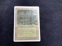 MTG English Bayou lightly Played Normal Revised Magic The Gathering Dual Land - Image 1