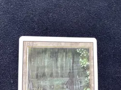 MTG English Bayou lightly Played Normal Revised Magic The Gathering Dual Land - Image 2