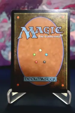 Magic the Gathering - The Walls Of Ba Sing Se - NM condition - Image 2