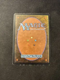 Desert Arabian Nights Mtg MP - Image 2