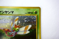 Pokemon TCG Yanma Crossing the Ruins... Holo lv.32 HP60 No.193 (Japanese) - Image 4