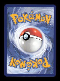 Pokemon Houndstone Card 145/132 Rare Holo Mega Evolution NM - Image 2