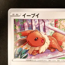 Eevee 181/S-P GYM PROMO Pokemon Card Japanese Near Mint #20431 - Image 3