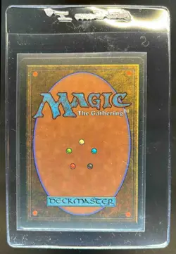 1995 Magic: The Gathering Homelands Merchant Scroll #NNO - Image 2