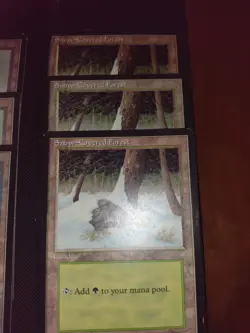 MTG Ice Age 24 Card Lot 12 Snow Covered Lands & 12 Artifacts. NM/LP Condition - Image 4