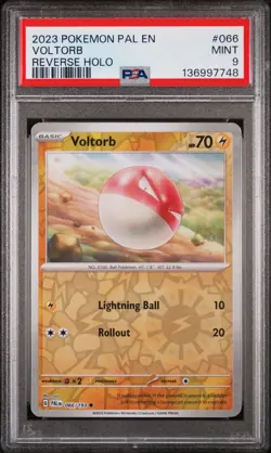 2023 POKEMON PAL EN-PALDEA EVOLVED REVERSE HOLO #066 VOLTORB PSA 9 - Image 1