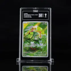 2023 Pokemon Scarlet & Violet 151 Caterpie #172 Illustration Rare TAG 9 - Image 2