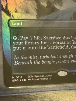 Misty Rainforest (Borderless) Special Guests Foil - Image 3