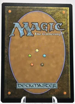 Forest 254/269 Foil Amonkhet AKH MTG NM - Image 2