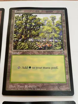 Vintage 1997 MTG Magic The Gathering 6x9 Land Oversized Arena Promo Cards - Image 5